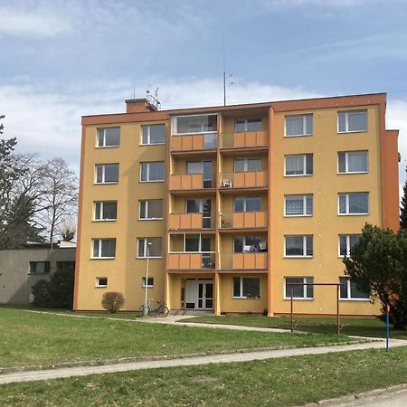 Apartman Ve Velkych Losinach Velke Losiny Exterior photo