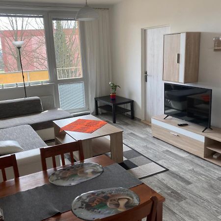 Apartman Ve Velkych Losinach Velke Losiny Exterior photo